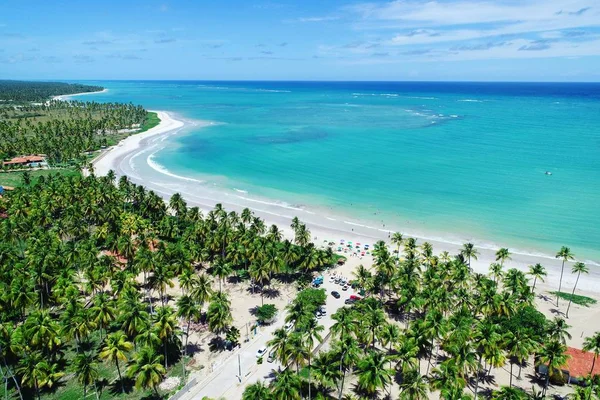 Luchtfoto Van Sao Miguel Dos Milagres Beach Alagoas Brazilië Unieke — Stockfoto