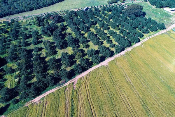 Luchtfoto Van Landbouw Landelijke Scène Beaufiful Landschap Grote Landschap Weergave — Stockfoto