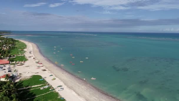 Sao Miguel Dos Milagres Alagoas Brazil Harika Manzara Büyük Plaj — Stok video
