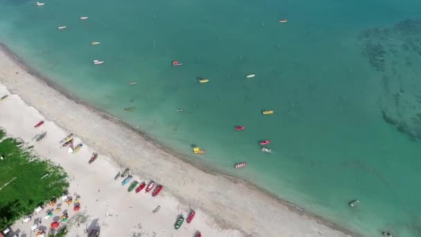 Sao Miguel Dos Milagres Alagoas Brazil Fantastic Landscape Great Beach — Stock Video