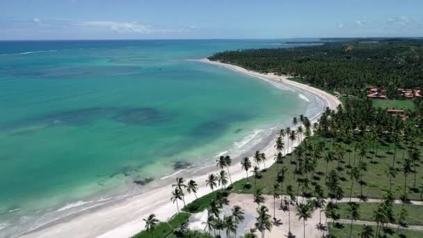 Sao Miguel Dos Milagres Alagoas Brasilien Fantastische Landschaft Tolle Strand — Stockvideo