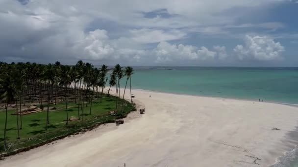 巴西伯南布哥州卡内罗斯海滩 天堂般的海滩度假 美丽的海滩景色 伟大的风景 旅游场景 度假现场 度假村的场景 度假旅行 旅游目的地 — 图库视频影像