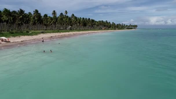 Carneiros Beach Pernambuco Brezilya Paradisiac Beach Tatil Harika Plaj Manzarası — Stok video