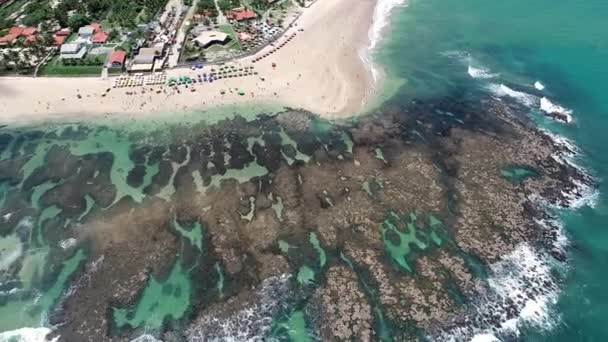 Cupes Beach Porto Galinhas Brazilië Unieke Ervaring Van Het Zwemmen — Stockvideo