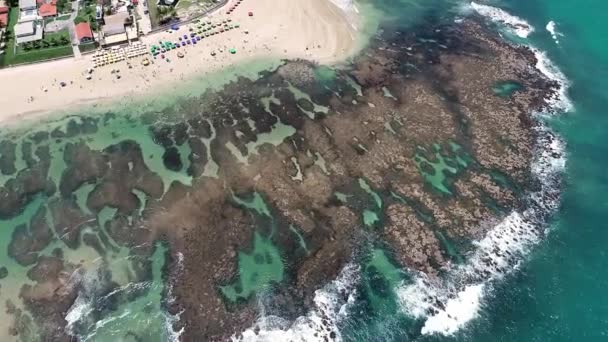 Cupes Beach Porto Galinhas Brazylia Unikalne Doświadczenie Pływania Fishs Naturalnych — Wideo stockowe