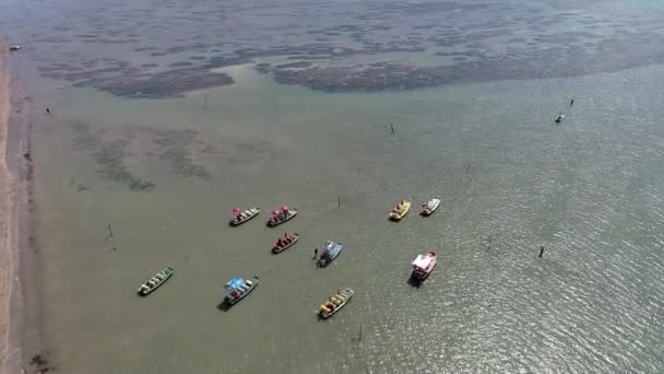 Sao Miguel Dos Milagres Alagoas Brasilien Fantastiskt Landskap Stor Strand — Stockvideo