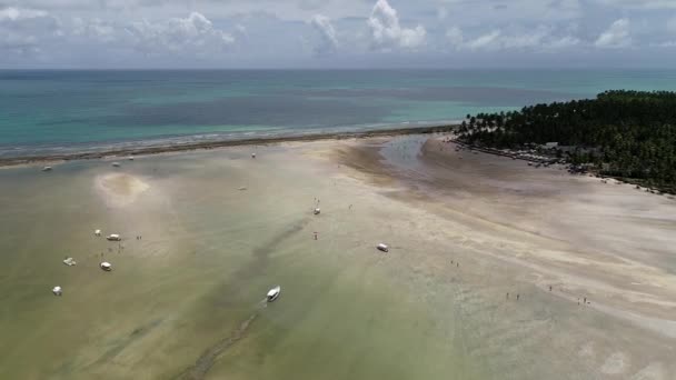 Carneiros Beach Pernambuco Brasilien Semester Paradisiac Beach Fantastisk Strandutsikt Fantastiska — Stockvideo