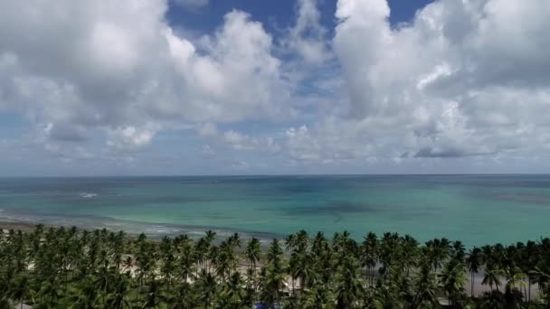 Carneiros의 페르남부쿠 브라질 Paradisiac 해변에서 환상적인 있습니다 풍경입니다 장면입니다 리조트 — 비디오