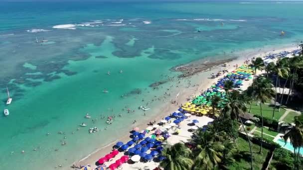 Porto Galinhas Beach Pernambuco Brezilya Hava Görünümünü Yüzme Ile Fishs — Stok video