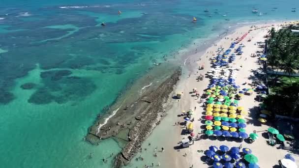 Porto Galinhas Beach Pernambuco Brezilya Hava Görünümünü Yüzme Ile Fishs — Stok video
