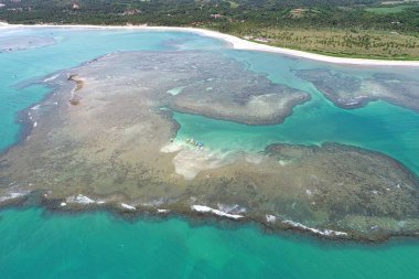 Brezilya ' doğal havuzlu ıssız sahilde tatil. Sao Miguel dos Milagres, Alagoas, Brazil. Harika manzara. Büyük plaj sahne. Cennet plaj. Brazillian Karayipler.