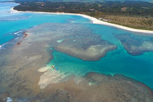 ブラジルの自然のプールと人けのないビーチでの休暇 ミゲル Dos Milagres アラゴアス州 ブラジル 幻想的な風景 素晴らしいビーチの風景です パラダイス ビーチ — ストック写真