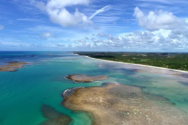 ブラジルの自然のプールと人けのないビーチでの休暇 ミゲル Dos Milagres アラゴアス州 ブラジル 幻想的な風景 素晴らしいビーチの風景です パラダイス ビーチ — ストック写真