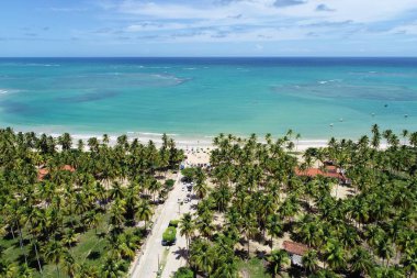 Kristal su ile Paradisiac plaj. Brezilya Karayipler. Yani Miguel dos Milagres, Alagoas, Brezilya. 