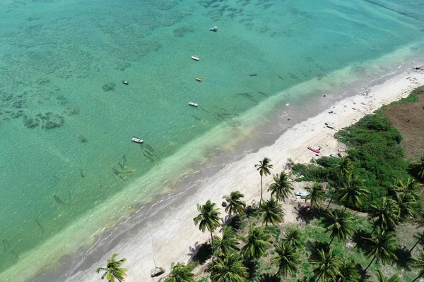 Praia Paradisíaca Com Água Cristalina Caribe Brasileiro Então Miguel Dos — Fotografia de Stock