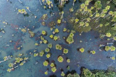Macaws Gölü havadan görünümü, Nobres, Mato Grosso, Brezilya. Turistik nokta. Harika bir manzara. Seyahat yeri. Tatil seyahati. 