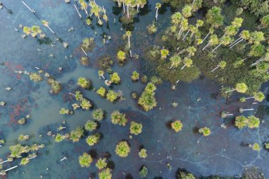 Macaws Gölü havadan görünümü, Nobres, Mato Grosso, Brezilya. Turistik nokta. Harika bir manzara. Seyahat yeri. Tatil seyahati. 