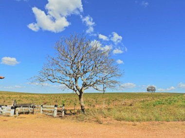 Mt 351 yol görünümü, Bom Jardim Köyü, Nobres, Mato Grosso, Brezilya yol. Harika bir manzara. Seyahat yeri. Tatil seyahati. Turistik nokta. Contryside sahnesi.
