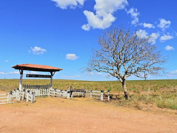 Vista Estrada 351 Caminho Para Bom Jardim Village Nobres Mato — Fotografia de Stock