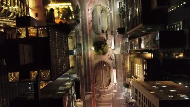 Luftaufnahme Der Stadt Bei Nacht Tolle Landschaft Berühmte Paulista Avenue — Stockvideo