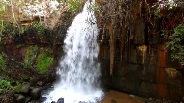 Chapada Dos Guimaraes Mato Grosso Brazylia Wspaniały Krajobraz Cel Podróży — Wideo stockowe