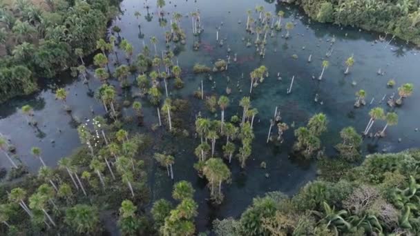 Flygbild Över Macaws Lake Nobres Mato Grosso Brasilien Turist Punkt — Stockvideo