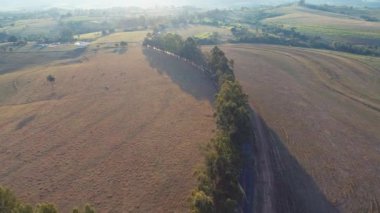 Sunset aerial view at countryside with sunbeams. Great landscape. Rural scenery. Plantation field.