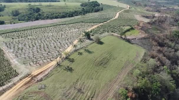 Luchtfoto Van Landbouw Geweldig Landschap Platteland Platteland — Stockvideo