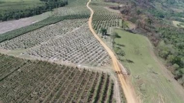 Tarım alanının havadan görünüşü. Harika bir manzara. Kırsal ve kırsal bölgeler.