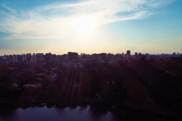 Vista Aérea Del Parque Ibirapuera Hermoso Día Sao Paulo Brasil —  Fotos de Stock