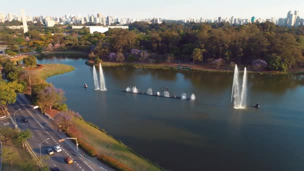 Vista Aérea Parque Ibirapuera Belo Dia São Paulo Brasil Grande — Vídeo de Stock