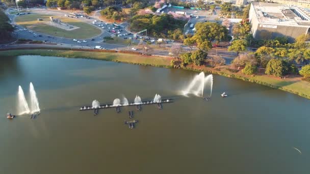 Aerial View Ibirapuera Park Beautiful Day Sao Paulo Brazil Great — Stock Video