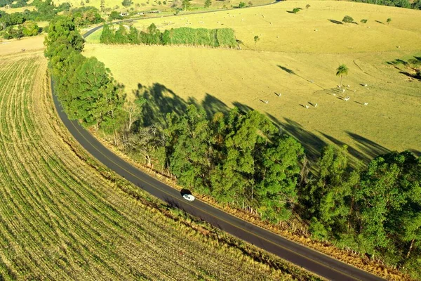 Luchtfoto Van Het Landelijke Landschap Zonnige Dag Landelijk Landschap Geweldig — Stockfoto