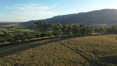 Güneşli bir günde kırsal arazinin havadan görünüşü. Kırsal alan. Harika bir kırsal hayat sahnesi. Kırsal alan.