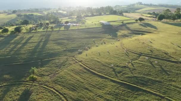 Güneşli Bir Günde Kırsal Arazinin Havadan Görünüşü Kırsal Alan Harika — Stok video