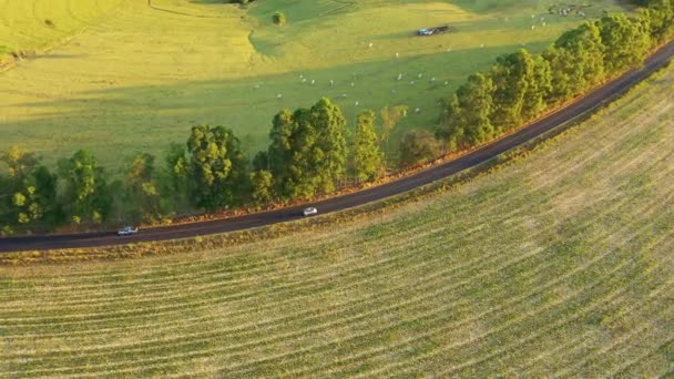 Luchtfoto Van Het Landelijke Landschap Zonnige Dag Landelijk Landschap Geweldig — Stockvideo