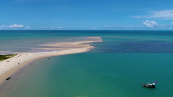 Cennet Plajının Panoramik Manzarası Kuzeydoğu Brezilya Plajları Tatiller Seyahat Eder — Stok video