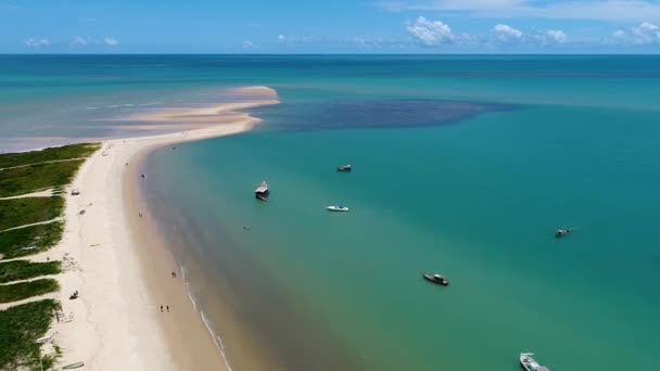 Panoramautsikt Över Paradisstranden Nordöstra Brasilianska Stränder Semester Resor Tropiskt Landskap — Stockvideo