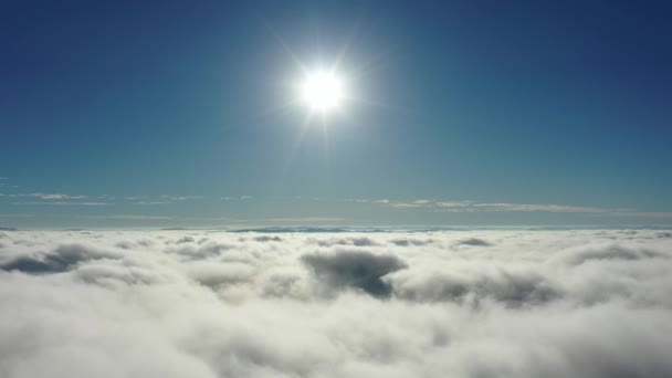 Paisagem Aérea Manhã Nebulosa Vida Cidade Cena Aérea São Paulo — Vídeo de Stock