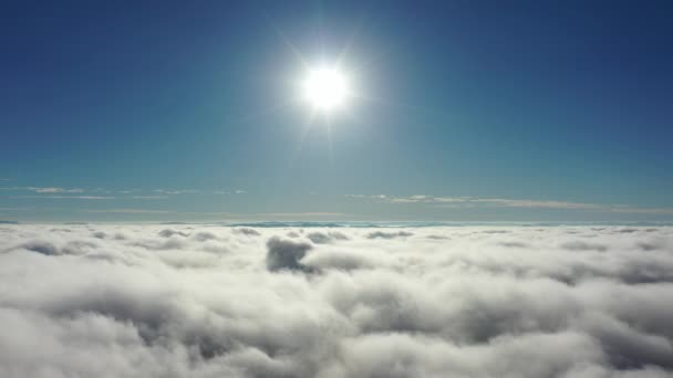 都市生活の航空シーンで霧の朝の空中風景 ブラジルのサンパウロ — ストック動画