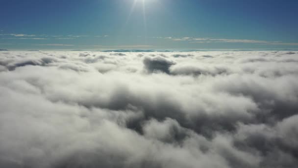 Paisagem Aérea Manhã Nebulosa Vida Cidade Cena Aérea São Paulo — Vídeo de Stock