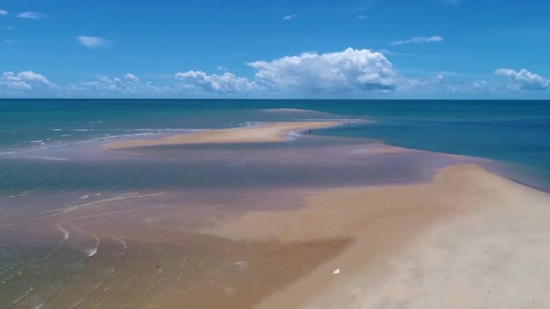 Панорамный Пейзаж Райского Пляжа Северо Восточные Бразильские Пляжи Отпуска Путешествуют — стоковое видео