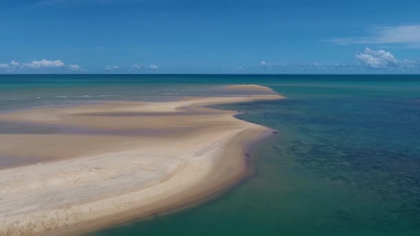 Πανοραμικό Τοπίο Παραδεισένιας Παραλίας Βορειοανατολικές Παραλίες Της Βραζιλίας Διακοπές Ταξιδεύουν — Αρχείο Βίντεο
