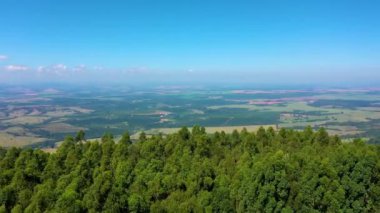 Kırsal yol. Güzellik okaliptüs tarlasının yukarıdan görünüşü. Kırsal Arazi. Kırsal yaşam sahnesi. Kırsal Yol. Okaliptüs Ağaçları. Kırsal Sahne. Kırsal Sahne. Hava manzarası. Tek Yol Bölgesi. 