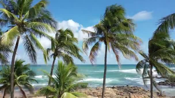 Seascape Pobřežní Pláže Výhled Modré Moře Výhled Pobřežní Pláž Scéna — Stock video