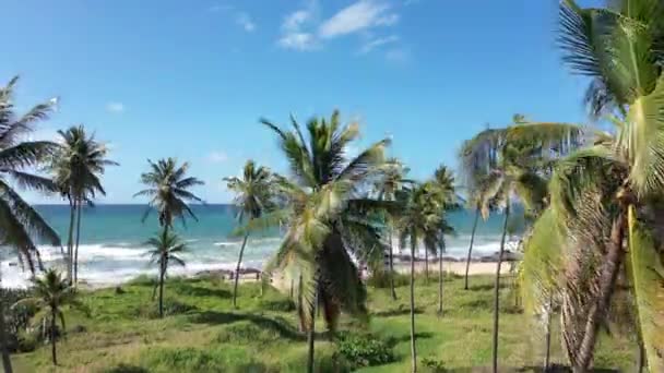 Capul Mării Plajei Coastă Vedere Albastră Mare Vedere Plajă Scena — Videoclip de stoc