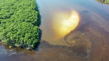 Rio Preto 'nun Pantanal nehri, Itanhaem, Sao Paulo, Brezilya manzarası. Rio Preto 'daki egzotik manzara, Itahaem' deki karanlık nehir, Sao Paulo, Brezilya. Nehir manzaralı. Pantanal Orman Koruma, Rio Preto sahnesi. Itanhaem 'de pantanal manzara, Sao Paulo, Brezilya.