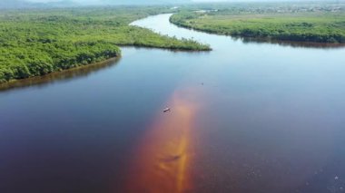 Rio Preto 'nun Pantanal nehri, Itanhaem, Sao Paulo, Brezilya manzarası. Rio Preto 'daki egzotik manzara, Itahaem' deki karanlık nehir, Sao Paulo, Brezilya. Nehir manzaralı. Pantanal Orman Koruma, Rio Preto sahnesi. Itanhaem 'de pantanal manzara, Sao Paulo, Brezilya.