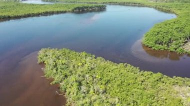 Rio Preto 'nun Pantanal nehri, Itanhaem, Sao Paulo, Brezilya manzarası. Rio Preto 'daki egzotik manzara, Itahaem' deki karanlık nehir, Sao Paulo, Brezilya. Nehir manzaralı. Pantanal Orman Koruma, Rio Preto sahnesi. Itanhaem 'de pantanal manzara, Sao Paulo, Brezilya.