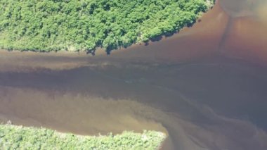 Rio Preto 'nun Pantanal nehri, Itanhaem, Sao Paulo, Brezilya manzarası. Rio Preto 'daki egzotik manzara, Itahaem' deki karanlık nehir, Sao Paulo, Brezilya. Nehir manzaralı. Pantanal Orman Koruma, Rio Preto sahnesi. Itanhaem 'de pantanal manzara, Sao Paulo, Brezilya.